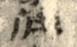 簡號 | 158.003