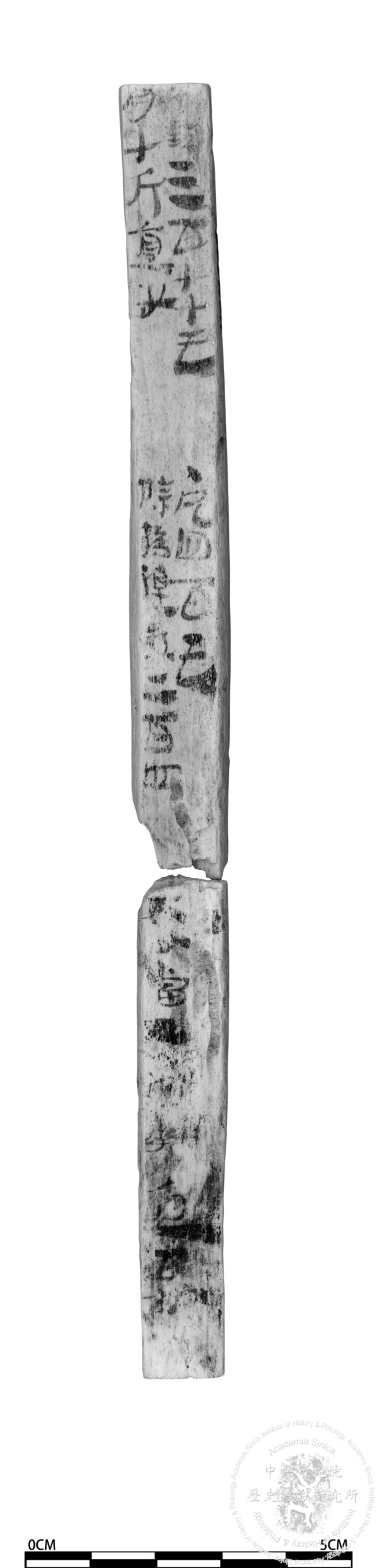 簡號 | 173.008+198.011