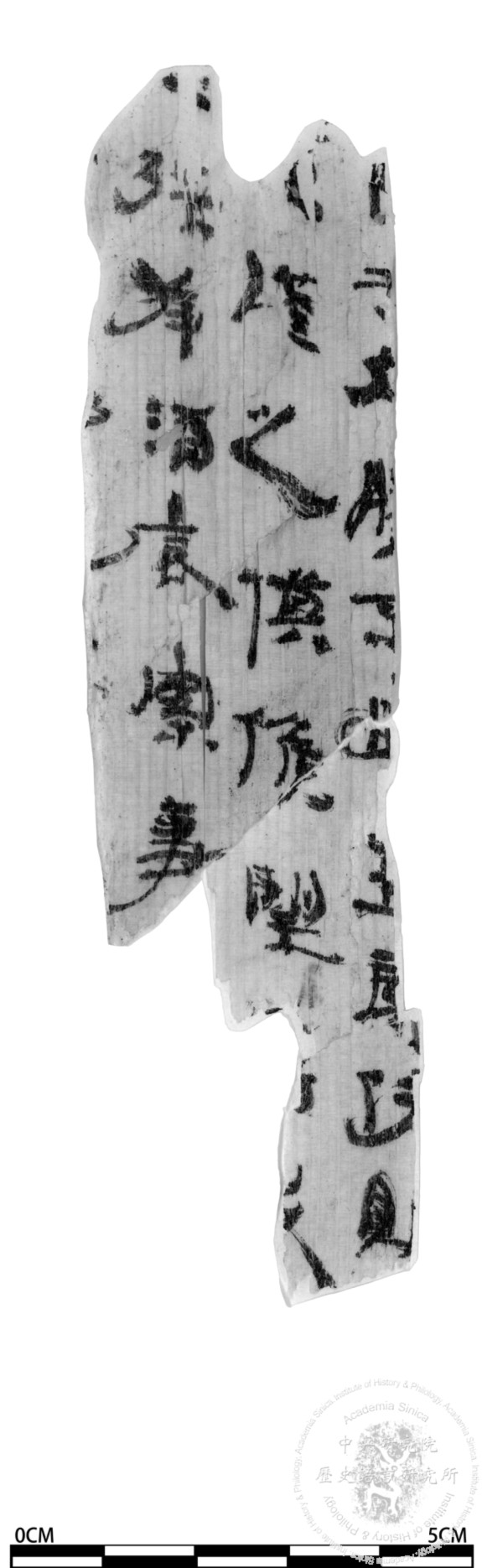 簡號 | 202.012+202.020