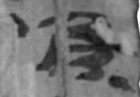 簡號 | 363.002+363.001