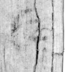 簡號 | N132(乙附13)