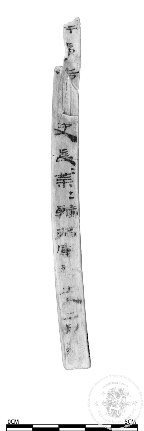 簡號 | 無號(為042.021上半部)+042.021(為042.021下半部)
