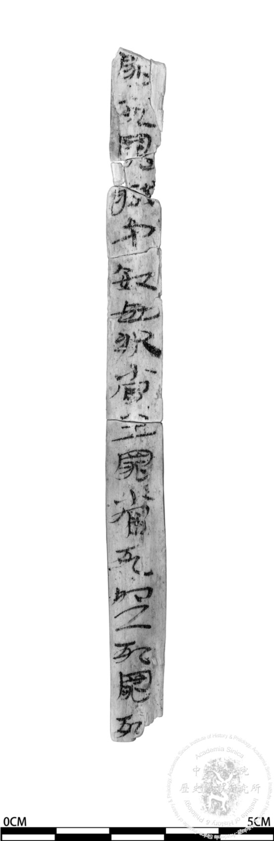 簡號 | 486.021+486.047+486.002