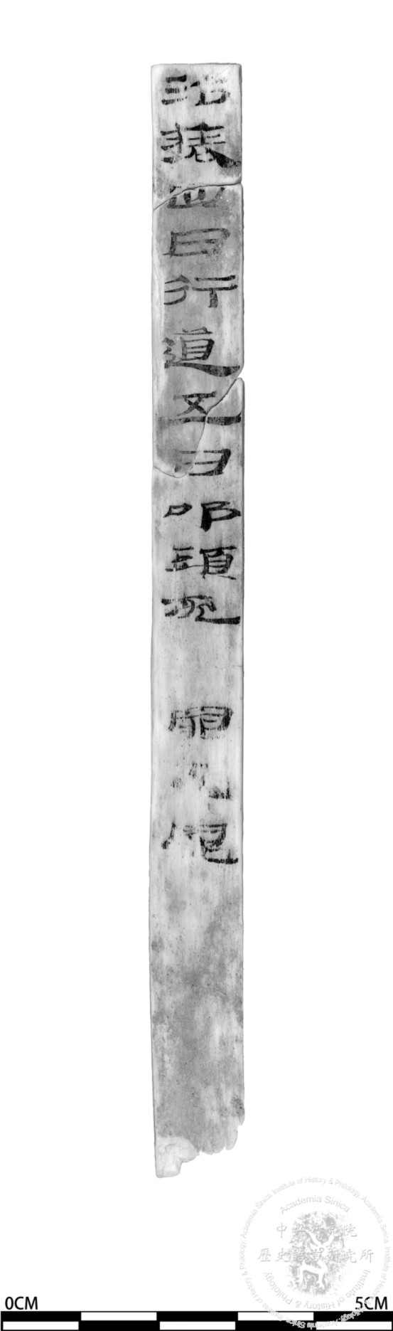 簡號 | 246.020+246.042+237.004