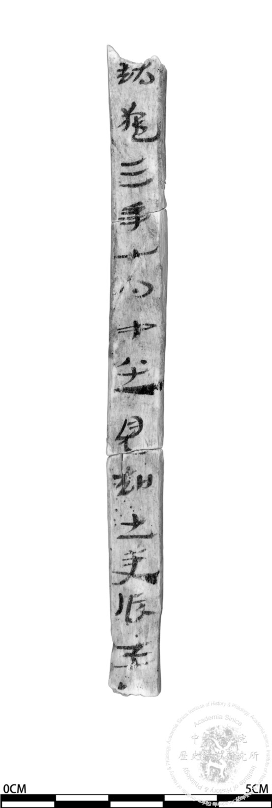 簡號 | 117.034+118.021