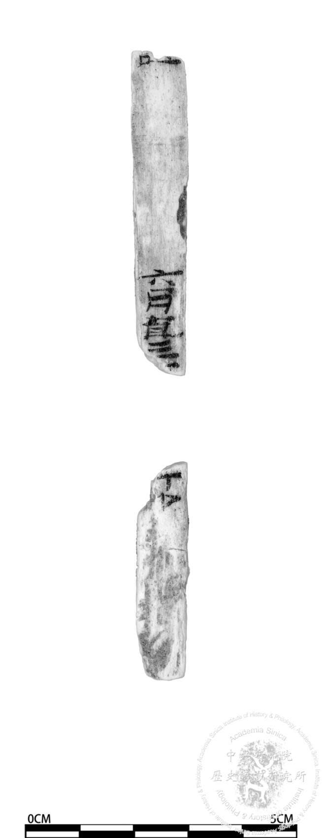 簡號 | 371.005+371.004