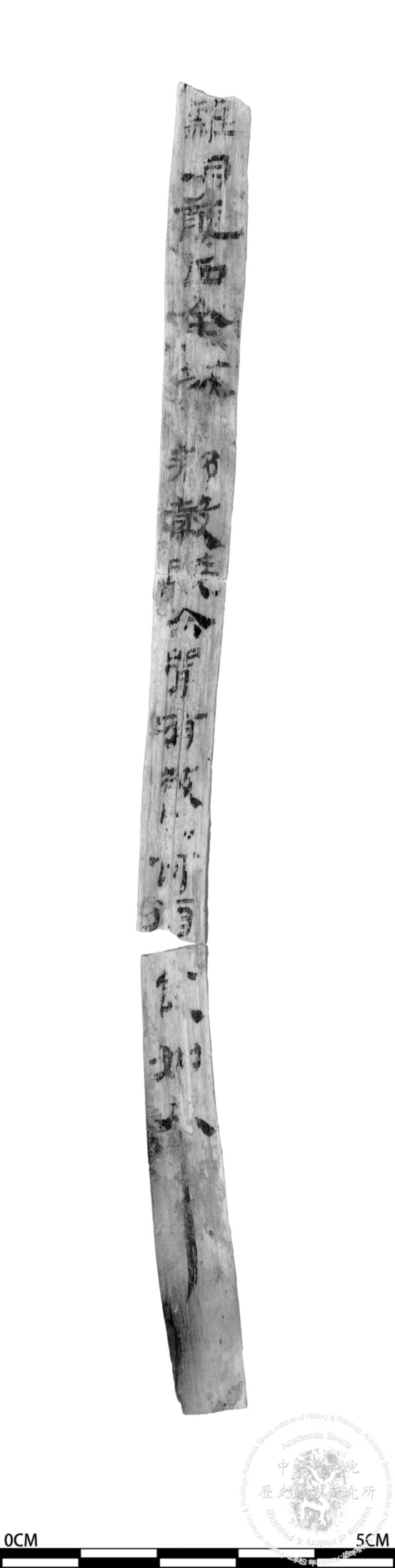 簡號 | 336.029+335.042+335.023