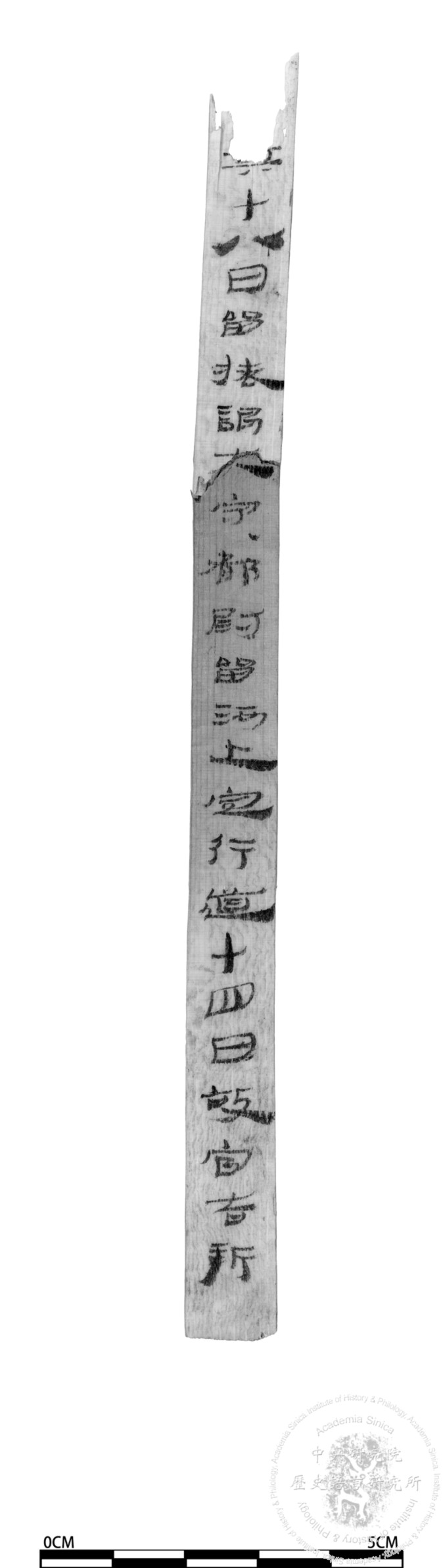 簡號 | 232.020+403.008