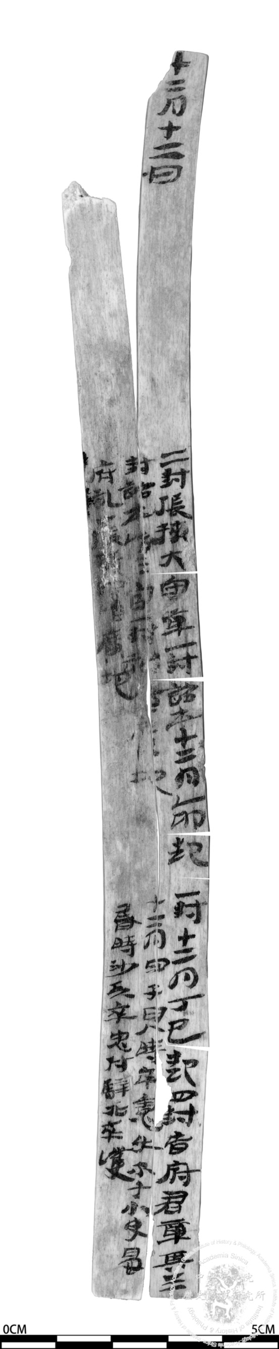 簡號 | 495.002+505.006